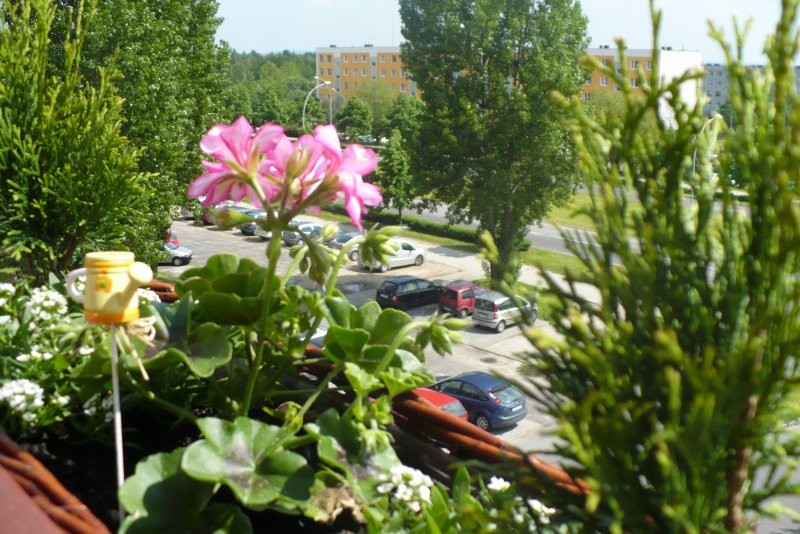 Pozostałe, Balkon 2010