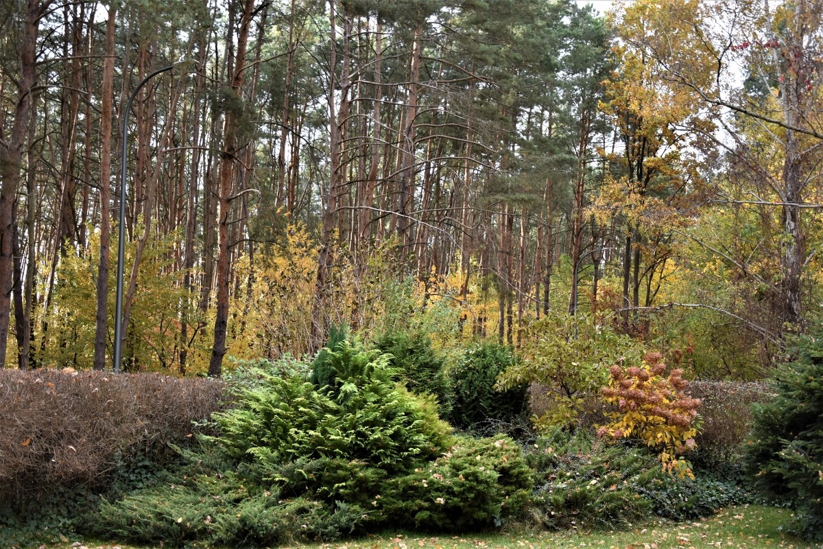 Sypialnia, Pażdziernik :)