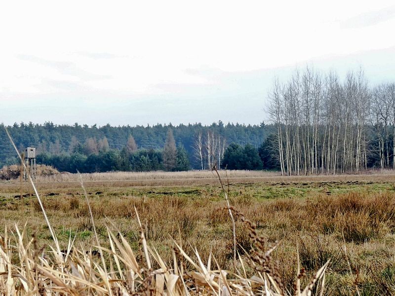 Pozostałe, Niedzielny spacer jeszcze świąteczny.