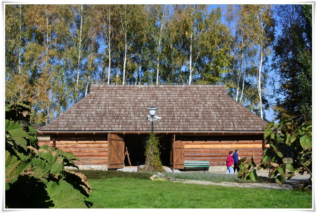 Rośliny, Arboretum - ,,wewnątrz wystawa malarska i...degustacja jabłek.