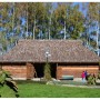 Rośliny, Arboretum - ,,wewnątrz wystawa malarska i...degustacja jabłek.