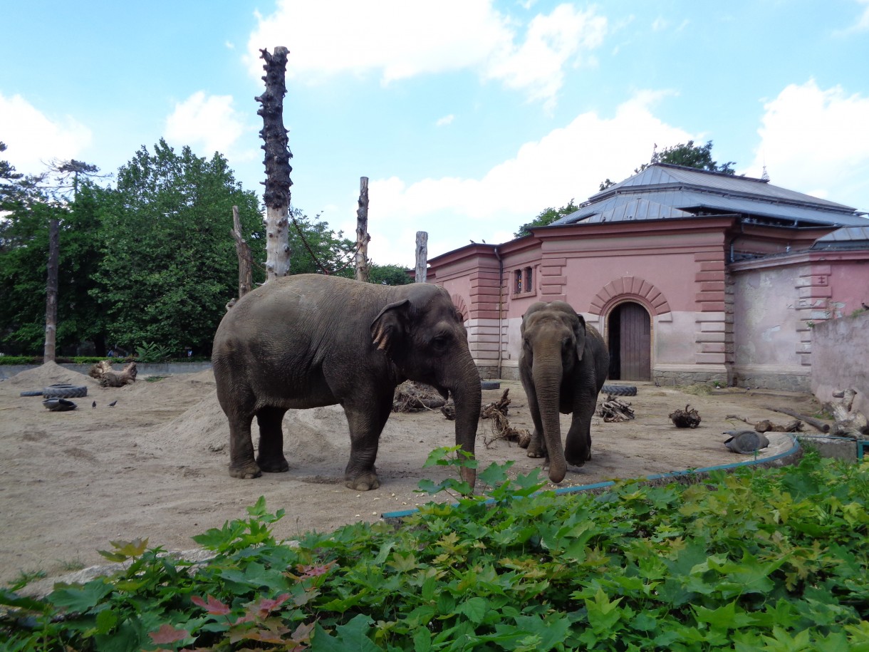 Pozostałe, AFRYKARIUM  ZOO Wrocław