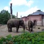 Pozostałe, AFRYKARIUM  ZOO Wrocław