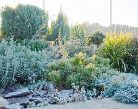 Co kupić ogrodnikowi? Praktyczne i oryginalne prezenty pod choinkę dla miłośników ogrodu