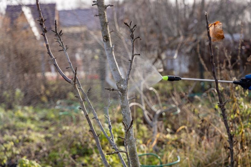 Olejkiem neem możemy opryskiwać zarówno krzewy, jak i drzewa owocowe.