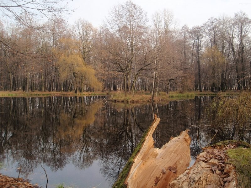 Pozostałe, Słotna jesień..... - ..nad wodą...