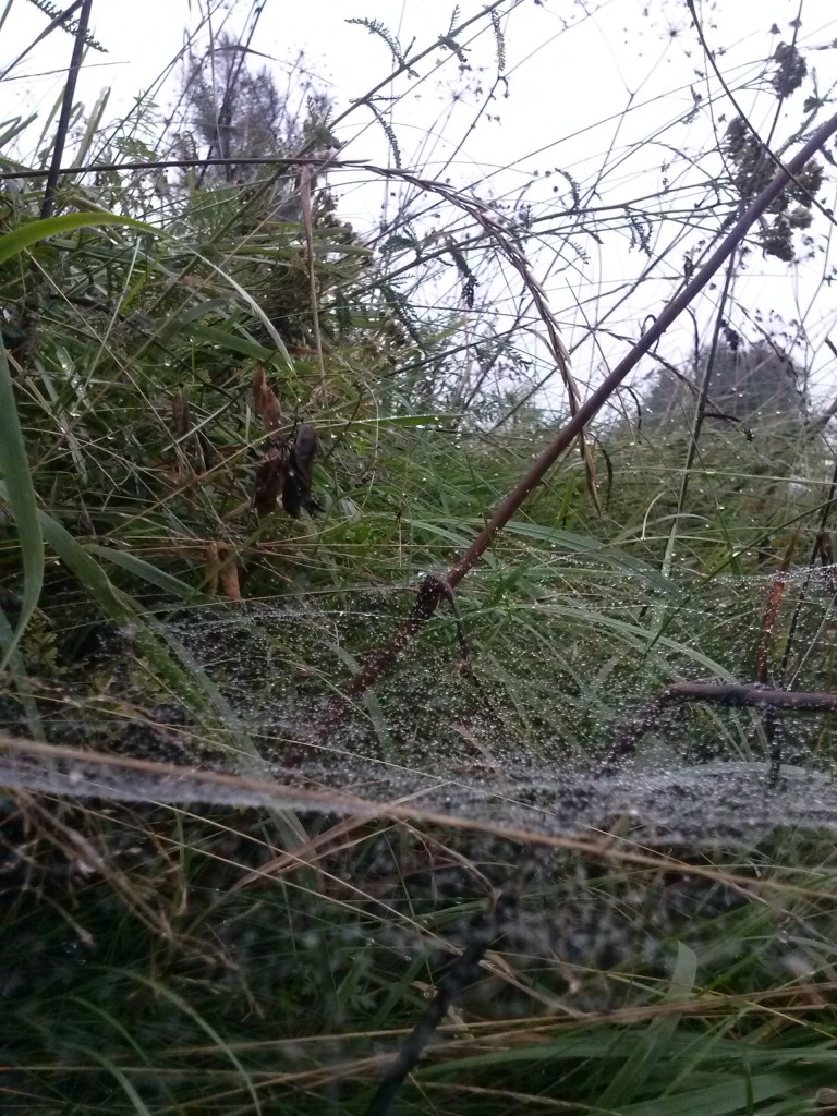 Pozostałe, Bo idzie grudzień...a bardzo jest wymagający.