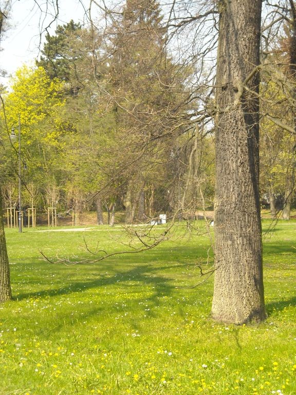 Pozostałe, Wiosna w parku nad morzem..................