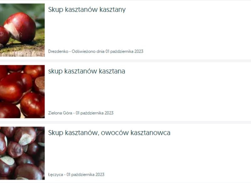 Aktualnych ofert skupu kasztanów szukajmy w Internecie.