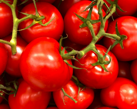 Koralik – popularna odmiana pomidora koktajlowego. Nadaje się do uprawy na balkonie i w gruncie