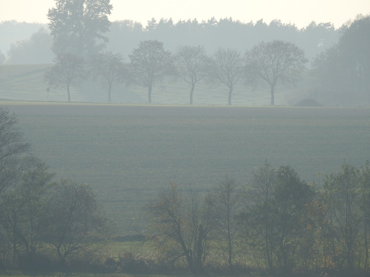 Leśne klimaty, W JESIENNYM NASTROJU...