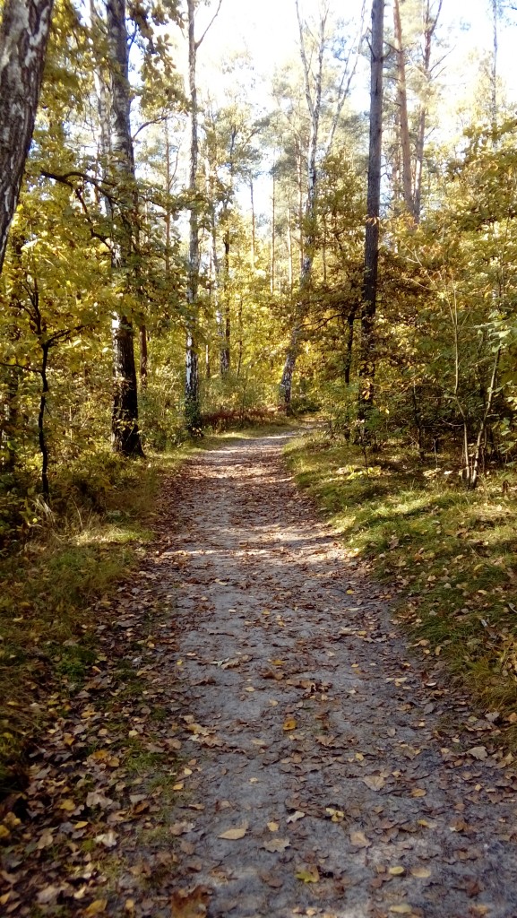 Pozostałe, Jesień.