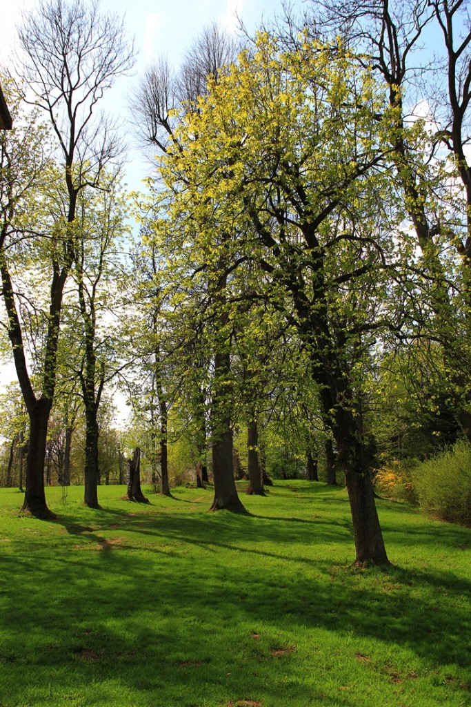 Pozostałe, "Kwietniówka" - .