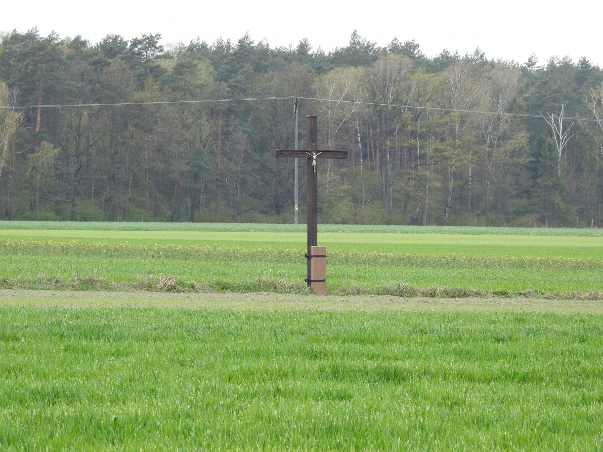 Leśne klimaty, " DZIKIE SERCE  "