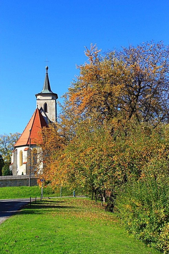 Pozostałe, jesień w naszym ogrodzie - ...