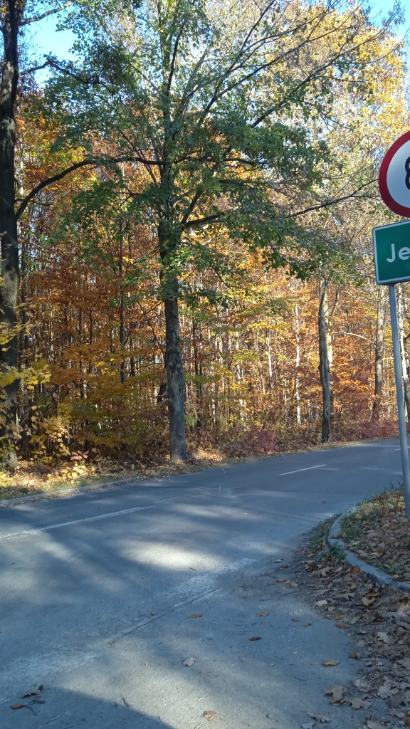 Podróże, PEJZAŻE z OKNA SAMOCHODU