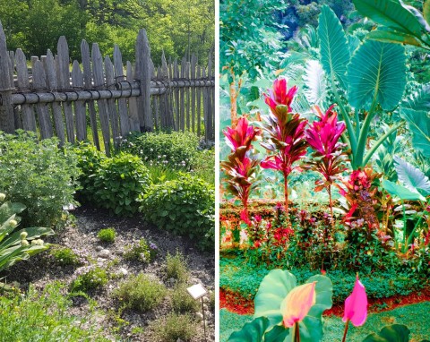 Trendy ogrodnicze 2024 – co warto uprawiać w swoim ogrodzie? Co to jest slow gardening?