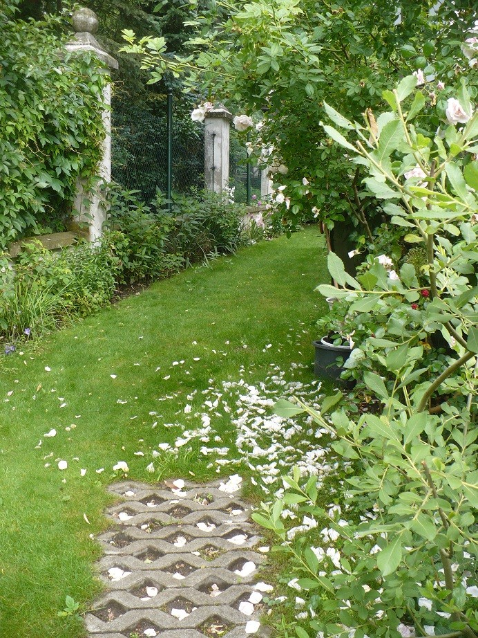 Pozostałe, Lipcowe ogrodowe fotki............... - ..............i róża.............i ogród pełen płatków róż.................