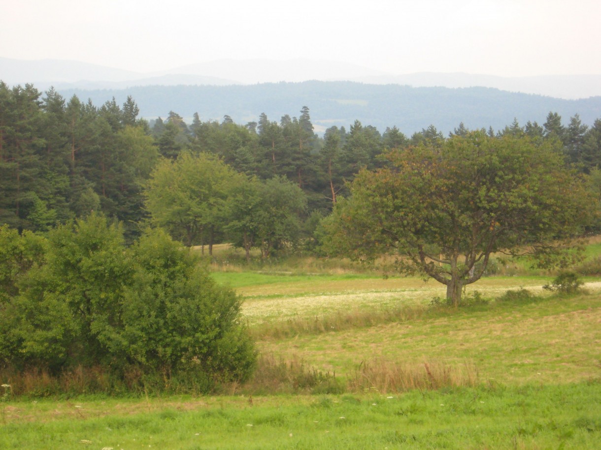 Pozostałe, Z cyklu cudze chwalicie... Bieszczady w moim obiektywie...