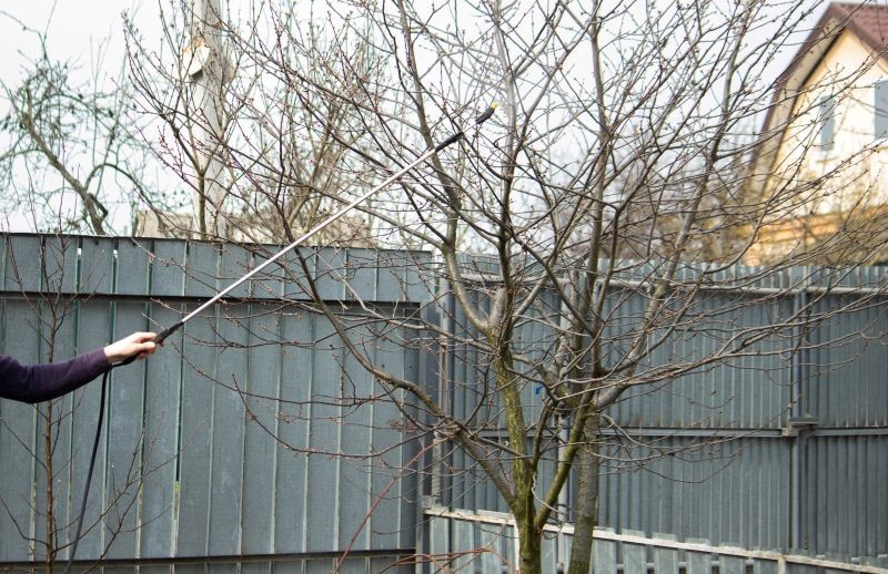 Czym pryskać drzewa owocowe?