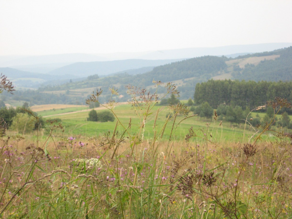 Pozostałe, Z cyklu cudze chwalicie... Bieszczady w moim obiektywie...