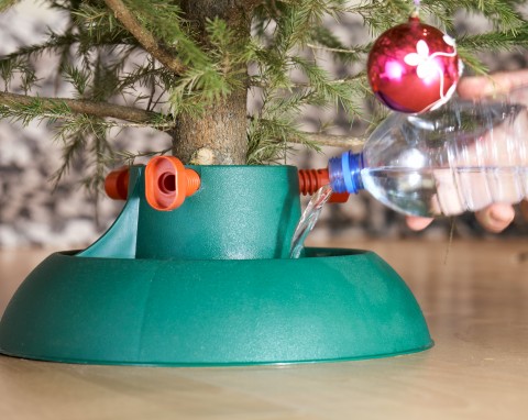 Choinka tygodniami nie zgubi igieł. Wystarczy odżywka z amerykańskiego przepisu