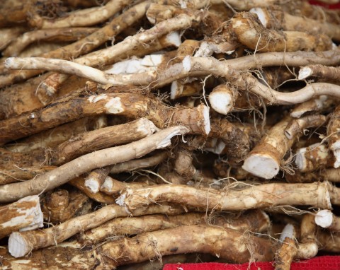 Ze straganu do ogrodu. Jak wyhodować chrzan z korzenia kupionego w sklepie