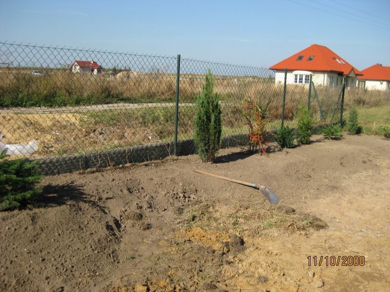 Ogród, Urządzamy wokół domu PIERWSZY RAZ!