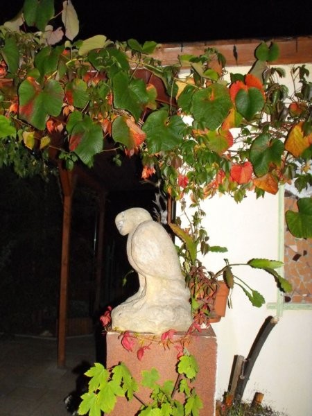 Ogród, Ogrodowe dekoracje - podobny do orła - wita gości przy wejściu