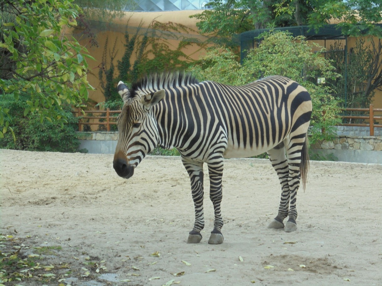 Pozostałe, AFRYKARIUM - WROCŁAW