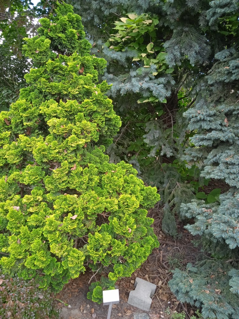 Ogród, WRZESIEŃ  w OGRODZIE ŚLĄSKIM