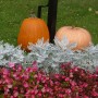 Pozostałe, Moja kolorowa jesień.................. - ..............i jesienne dekoracje w parku................