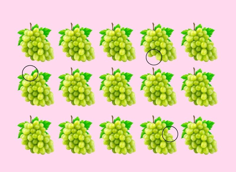 Rozwiązanie winogronowej zagadki optycznej 