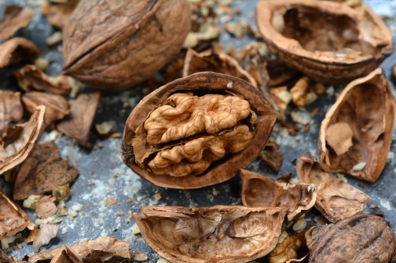 łupiny orzechów włoskich