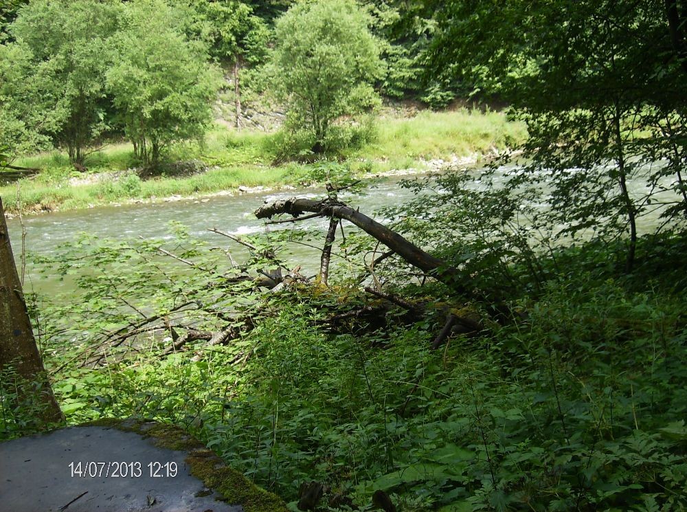 Pozostałe, PIENIŃSKI PARK NARODOWY - SZCZAWNICA - DEPTAK NAD DUNAJCEM