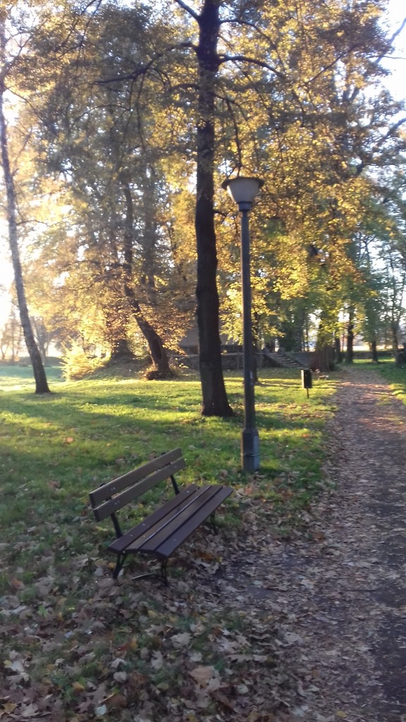 Leśne klimaty, Park jesienią