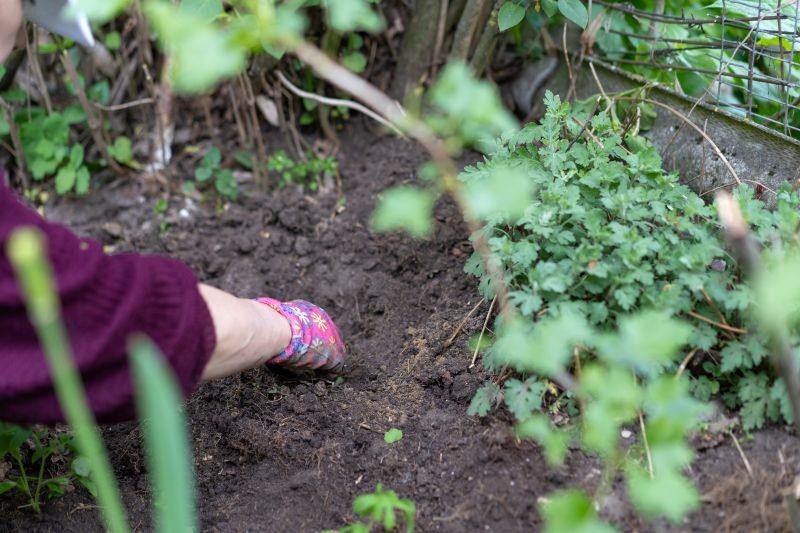 Metoda no dig pozwala na samoistne rozluźnienie i użyźnienie gleby.