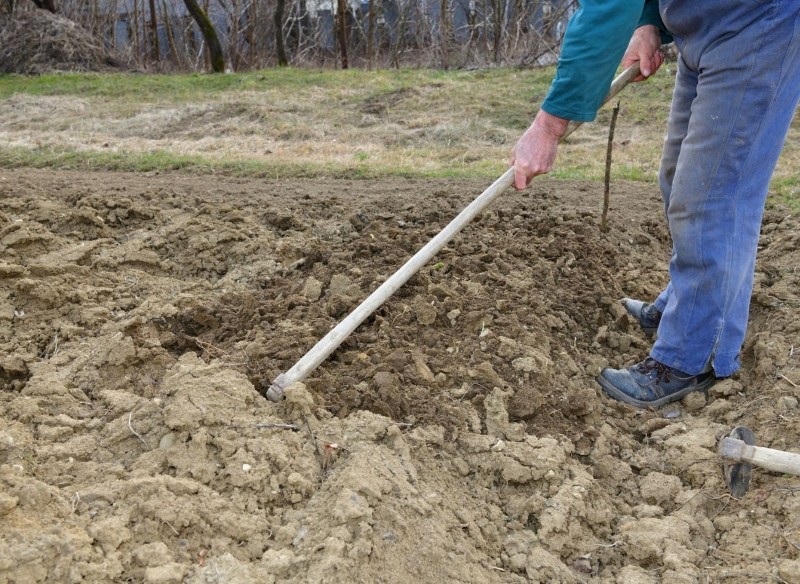 jak przygotować grunt do siewu