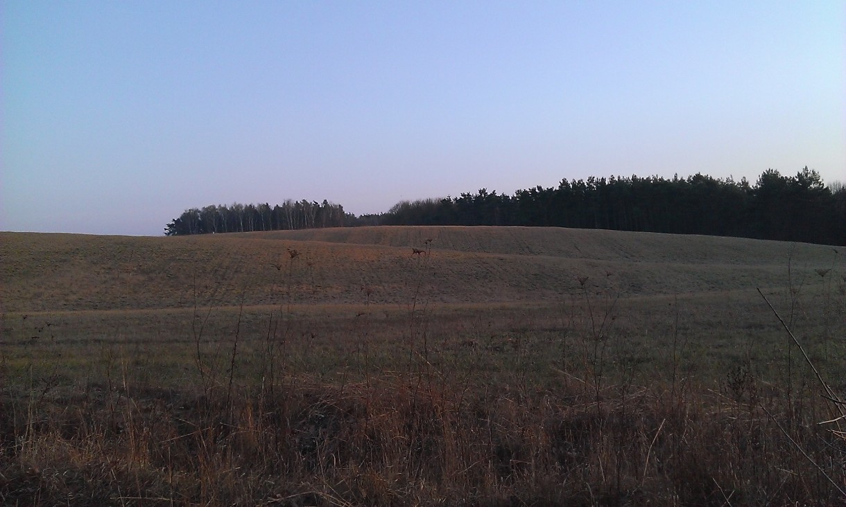 Pozostałe, moje poszukiwania... - jeszcze trochę i pola się zazielenią