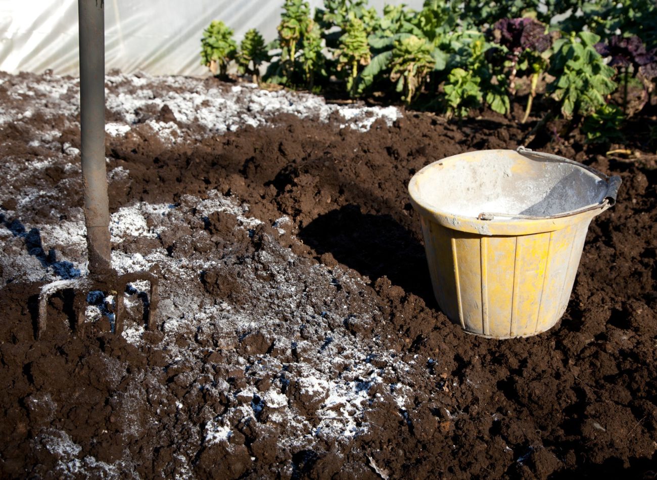 Можно ли вносить доломитовую муку весной. Известковые удобрения известкование почвы. Известкование кислых почв. Известь для сада. ТОРФОВАНИЕ почвы.