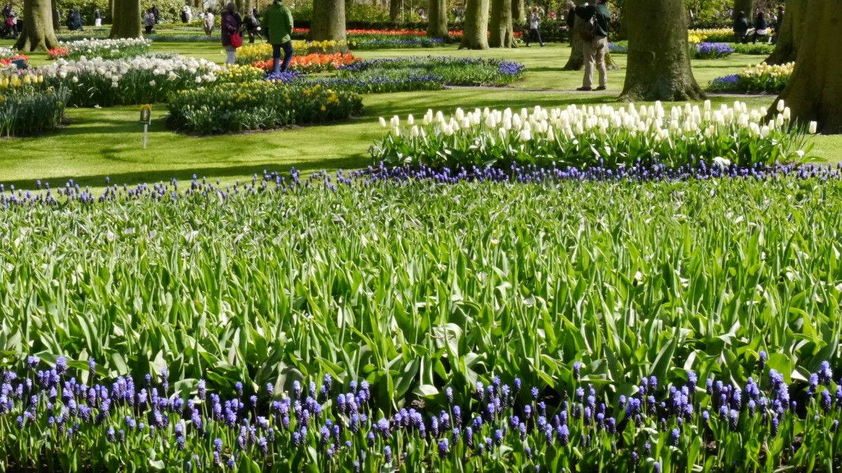 Pozostałe, Keukenhof