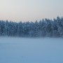 Leśne klimaty, ZIMOWA BAJKA  :)