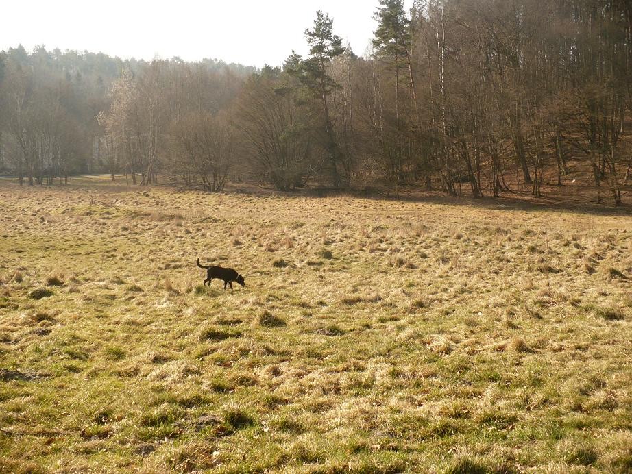 Dekoratorzy, Czekając na wiosnę .................. - ...............i prawie  wiosennie.............