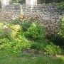 Ogród, Mój mały ogródek w letniej odsłonie