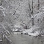 Leśne klimaty, OTULĘ CIĘ  :)