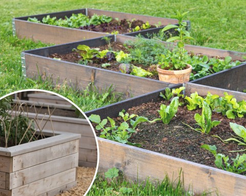 Jak zrobić skrzynię na warzywa? Wystarczy kilka prostych kroków