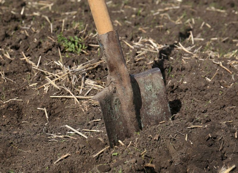 Wapnowanie i stosowanie naturalnych nawozów poprawia jakość gleby.