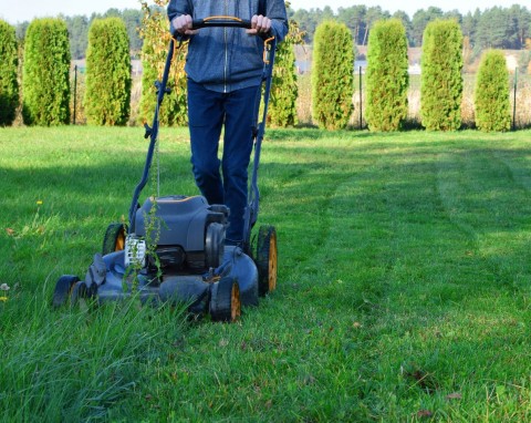 Wertykulacja to za mało. 4 zabiegi, które trzeba zrobić przy trawniku jesienią