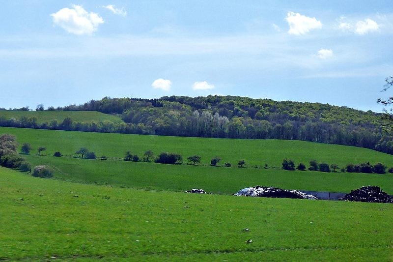 Pozostałe, " Dzikie " pola - z opolskich górek