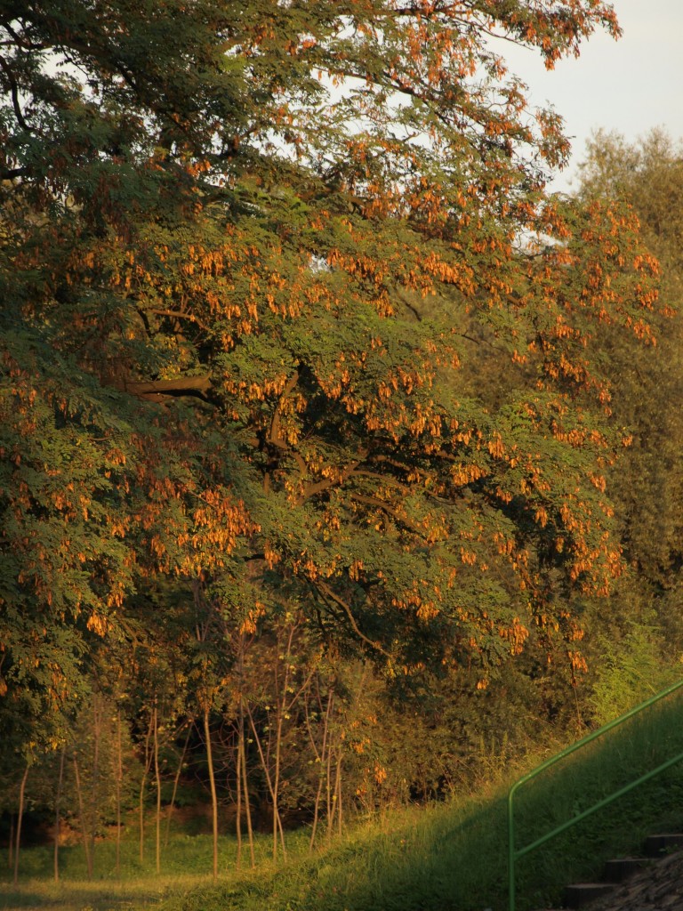 Podróże, sierpniowa